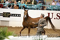 usn07_j09315 proof