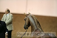 usn07_j09316 proof