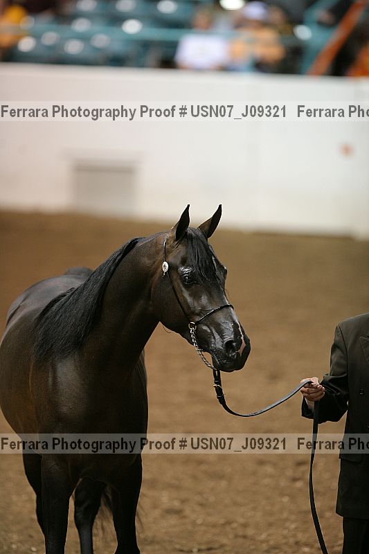Proof usn07_j09321