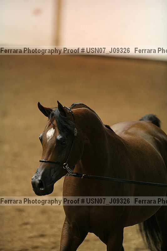 Proof usn07_j09326