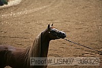 usn07_j09329 proof