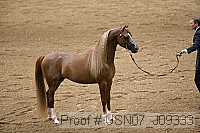 usn07_j09333 proof