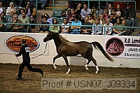 usn07_j09334 proof