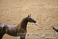 usn07_j09336 proof