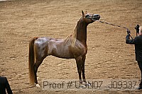 usn07_j09337 proof