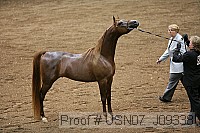 usn07_j09338 proof