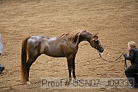 usn07_j09339 proof