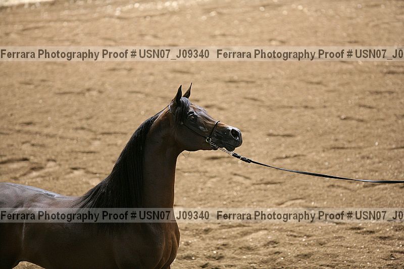 Proof usn07_j09340