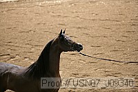 usn07_j09340 proof