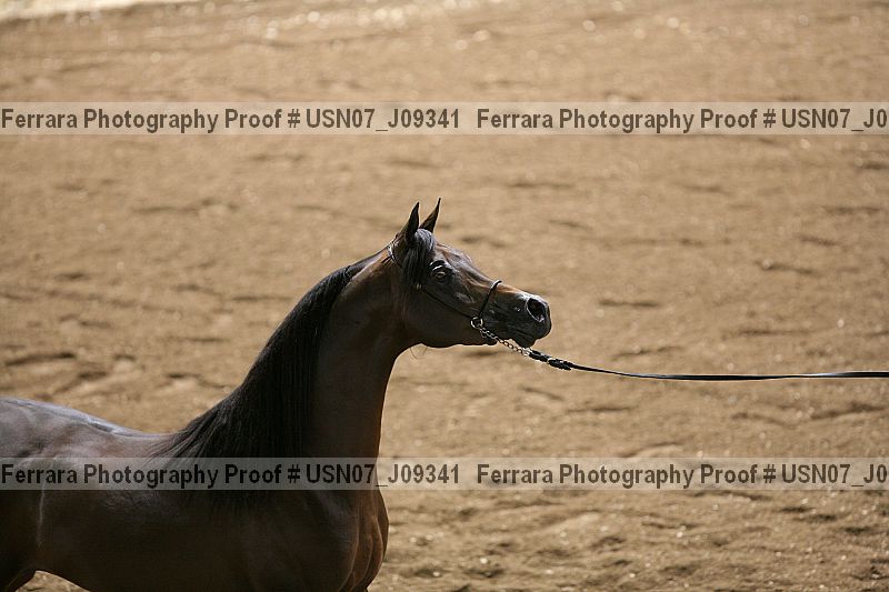 Proof usn07_j09341