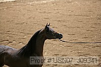 usn07_j09341 proof