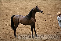 usn07_j09343 proof