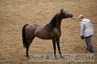 usn07_j09344 proof