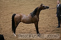 usn07_j09347 proof