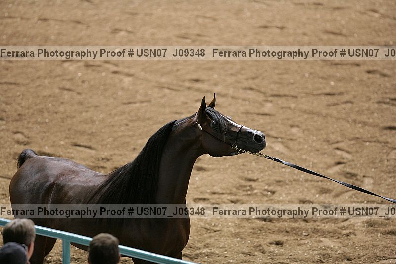 Proof usn07_j09348