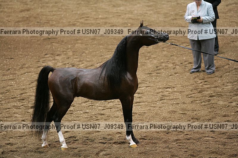 Proof usn07_j09349