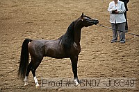 usn07_j09349 proof