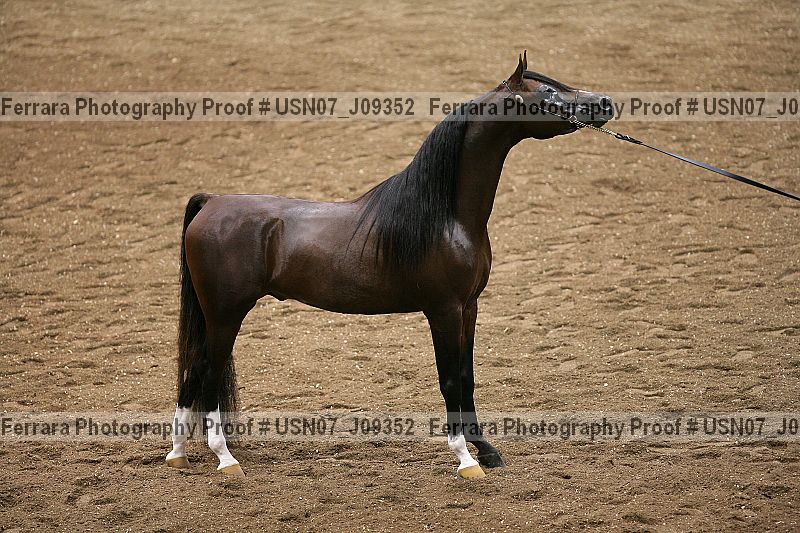 Proof usn07_j09352