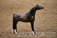 usn07_j09352 proof