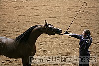 usn07_j09353 proof