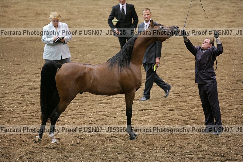 Proof usn07_j09355