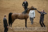 usn07_j09356 proof