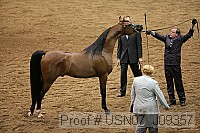 usn07_j09357 proof