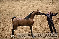 usn07_j09358 proof