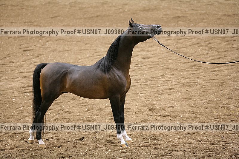 Proof usn07_j09360