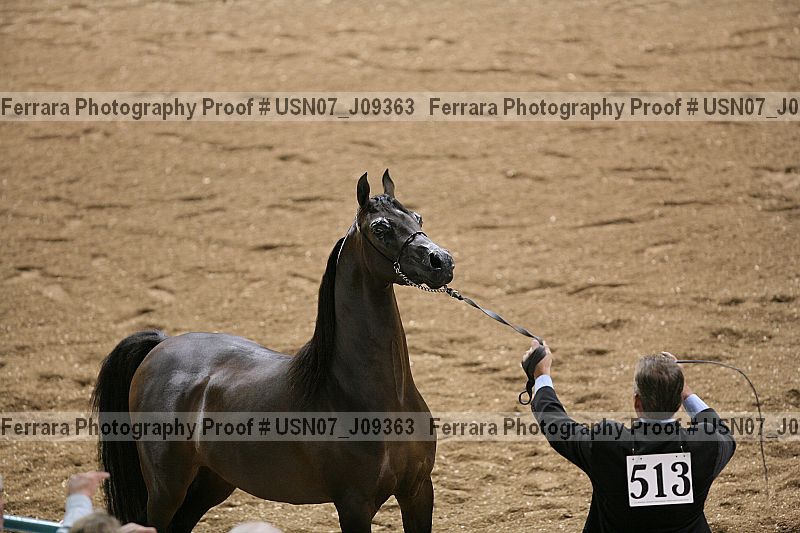 Proof usn07_j09363