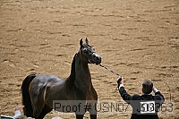 usn07_j09363 proof