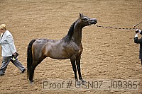 usn07_j09365 proof