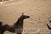 usn07_j09366 proof