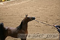 usn07_j09367 proof