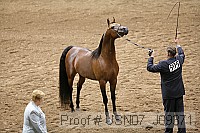 usn07_j09371 proof