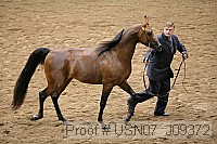 usn07_j09372 proof