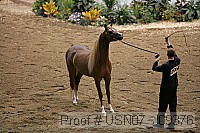 usn07_j09376 proof