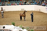 usn07_j09377 proof