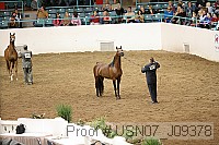 usn07_j09378 proof