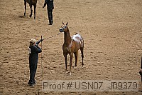 usn07_j09379 proof