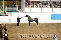usn07_j09380 proof