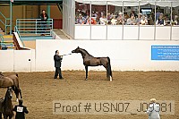 usn07_j09381 proof