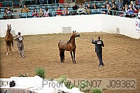 usn07_j09382 proof