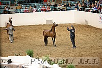 usn07_j09383 proof