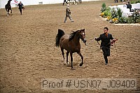 usn07_j09409 proof