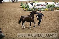 usn07_j09411 proof