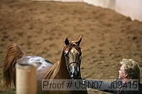 usn07_j09415 proof