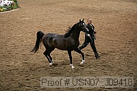 usn07_j09418 proof