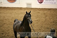 usn07_j09419 proof