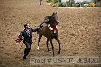 usn07_j09420 proof